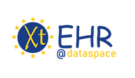 Xt-EHR – Extended EHR@EU Data Space for Primary Use